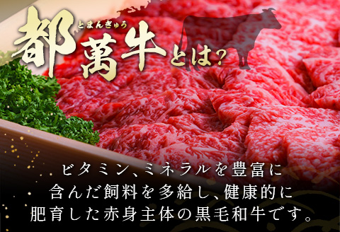 赤身主体の黒毛和牛＜都萬牛＞焼肉セット 300g