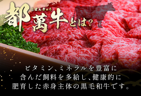 赤身主体の黒毛和牛＜都萬牛＞ロースすきしゃぶ 600g すきやき しゃぶしゃぶ【C384】