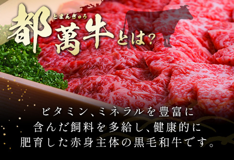 赤身主体の黒毛和牛＜都萬牛＞ロースステーキ（180g×2枚）合計360g