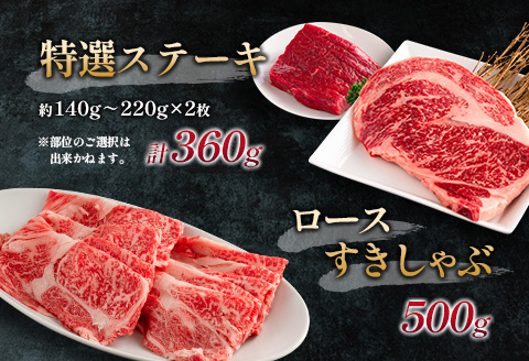 赤身主体の黒毛和牛＜都萬牛＞部位厳選の特選セット