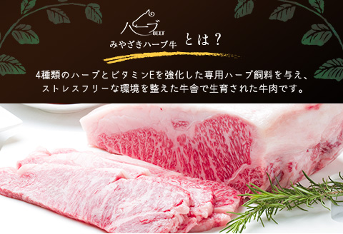 小分けで便利＜宮崎ハーブ牛＞ホルモン 小腸（200g×4パック）