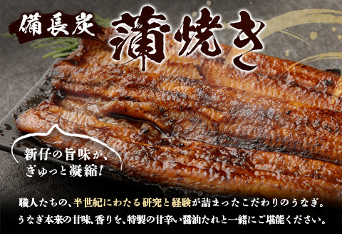 ＜4ヵ月に1回お届け＞新仔!味鰻の本格手焼備長炭蒲焼3尾（無頭）・うな丼6人前セット×3回定期便