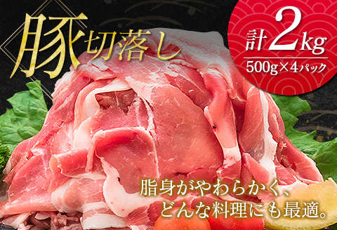 南国みやざき6kgセット＜豚肉2kg+鶏肉4kg＞【C200】