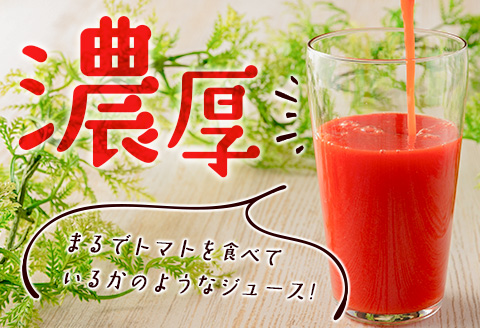 濃厚GOKUGOKU TOMATO（300ml×2本）無塩 トマトジュース【A298】