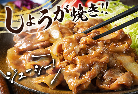 宮崎県産 豚肩ローススライス肉（400g×6パック）合計2.4kg ※ご入金月の翌月中に出荷【B585-2509】
