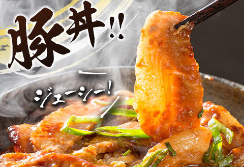 宮崎県産 豚ローススライス肉（300g×6パック）合計1.8kg ※ご入金月の翌月中に出荷【B583-2509】