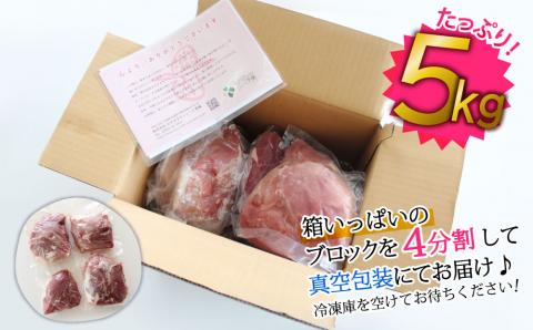 宮崎県産＜豚モモブロック＞5kg（4分割）【B137】