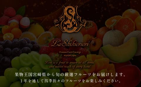 旬のプレミアムフルーツ定期便 12ヵ月コース【F114-25】