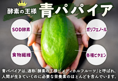 ［お試し］青パパイアグラノーラ（100g×1袋）ポスト投函【P10】