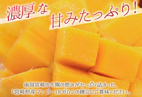 ［訳あり］宮崎県産マンゴー《家庭用》2kg以上（4～6玉）新富町産 完熟 フルーツ 果物【C217-26】