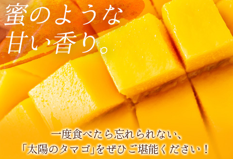 ＜数量限定＞完熟マンゴー「太陽のタマゴ」2Lサイズ 2玉 宮崎県産 先行予約 ブランド フルーツ 果物 ギフト【C218-26】