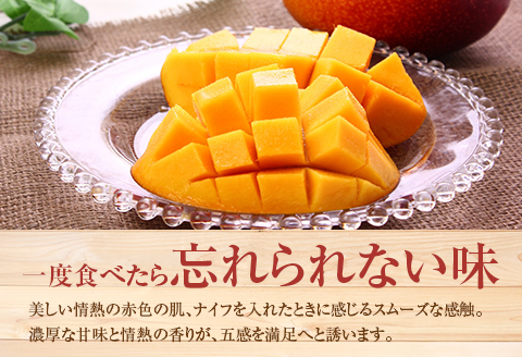 ＜先行予約＞ 完熟マンゴー 2Lサイズ 2玉 南国宮崎からお届け!! フルーツ 果物 人気 贈答品【B302-26】