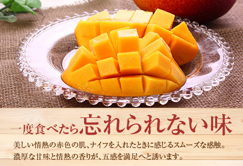 ＜先行予約＞ 完熟マンゴー 2Lサイズ 3玉 南国宮崎からお届け!! フルーツ 果物 人気 贈答品【C246-26】