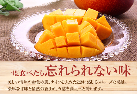 ＜先行予約＞ 完熟マンゴー 3Lサイズ 2玉 南国宮崎からお届け!! フルーツ 果物 人気 贈答品【C247-26】