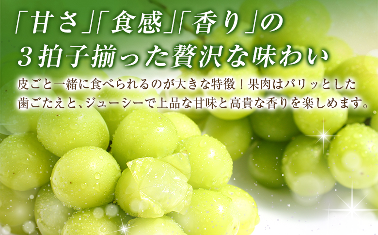 ＜2026年出荷＞先行予約 シャインマスカット 2～3房 計1kg以上 国産 期間限定 くだもの 【A256-26】