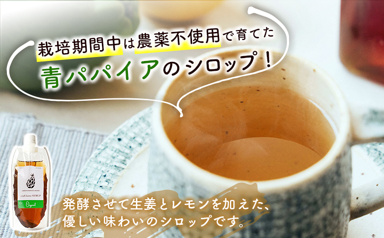 酵素の王様青パパイアのドリンクセット 全4種 国産 ヘルシー グリーンパパイア【A322】