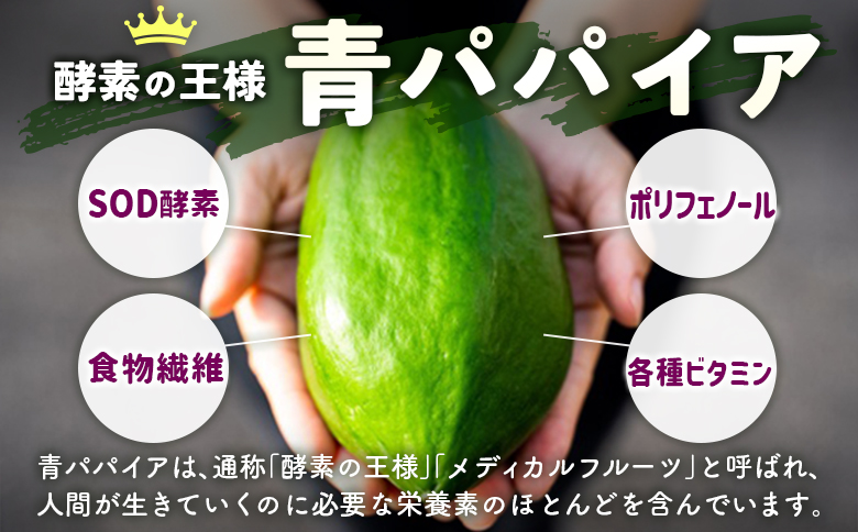 酵素の王様 青パパイア酵素シロップ入り 乳酸菌朝活ドリンク 甘酒飲料（150g×7本）国産 グリーンパパイア 飲み物【A325】