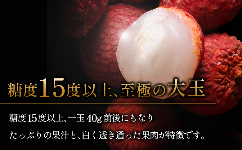 ［2026年発送］先行予約 希少！国産＜新富ライチ＞40g前後×10玉 国産 ブランド フルーツ 果物 贈答品【B120-26】