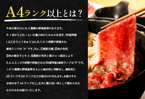 宮崎黒毛和牛『こゆ牛』すき焼き用（肩ロース）500g A4等級以上【B127】