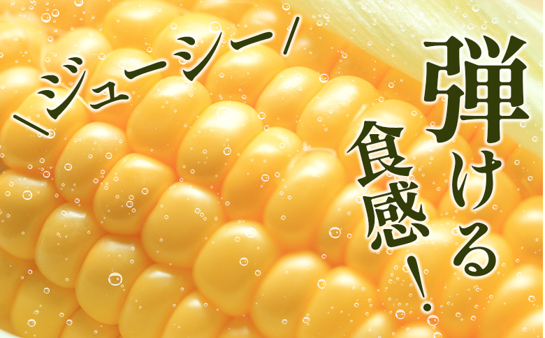 宮崎県産 朝採れ ゴールドラッシュ 約7kg（2Lサイズ×20本） ※2026年5月中旬発送開始 とうもろこし 旬 野菜【B426-26】
