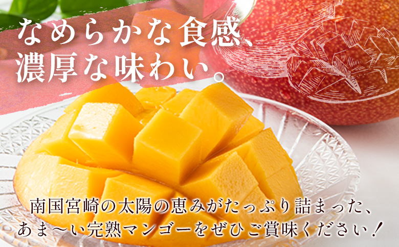 ＜先行予約＞宮崎県産 完熟マンゴー 2L×2玉 数量限定 人気 フルーツ 果物 ギフト【B510-26】