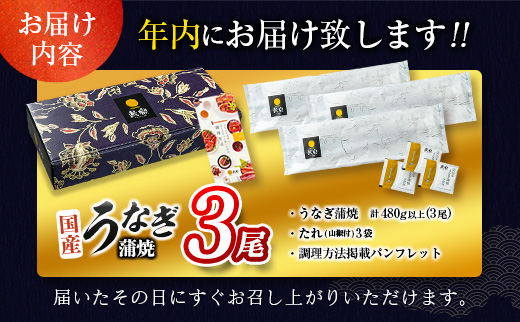 ＜今なら年内お届け!!＞うなぎ 鰻楽 国産 蒲焼 2尾 計360g以上 無頭 高評価 おすすめ 冷凍 簡単調理 個包装 鰻 魚介 贈答品 ギフト 贈り物【B555-2512】 2025年12月お届け