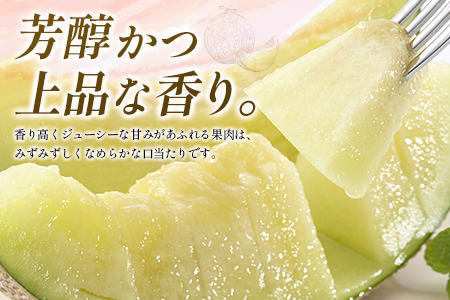 ＜数量限定＞大玉 プレミアムアールスメロン 4L1玉 秀品 1.9kg以上 先行予約 国産 贈答 化粧箱入 宮崎県産 ※2025年11月〜12月の期間内に出荷【B578-01】 2025年11月〜12月の期間内に出荷