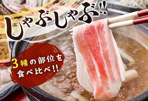 ＜選べる配送月＞宮崎県産 豚しゃぶしゃぶ三種盛り食べ比べセット 合計2.2kg ※2026年3月お届け【B584-2603】 2026年3月お届け
