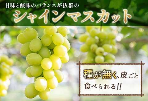 ＜先行予約＞シャインマスカット 2房 約1kg+100g補償付 ※2026年8月下旬～【B606-26】