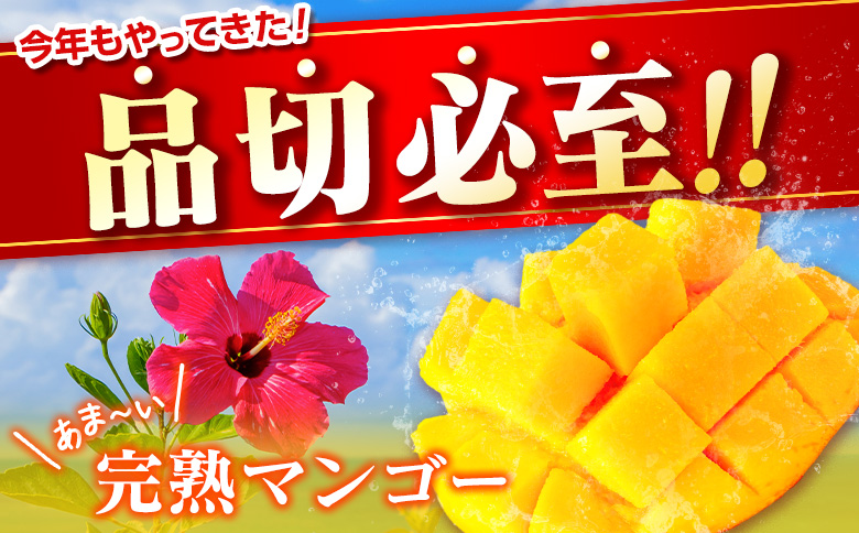 先行予約 ＜訳あり＞ 完熟マンゴー 宮崎県産 3Lサイズ 2玉 フルーツ 果物【B616-26】