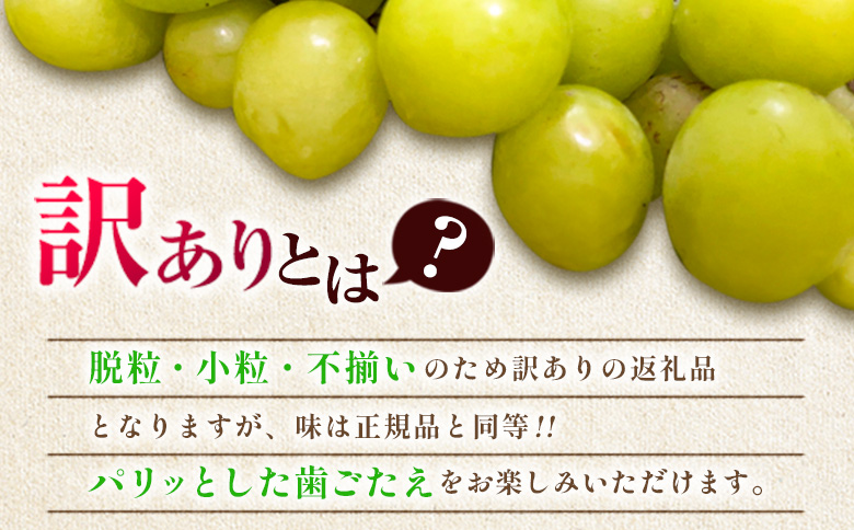 訳あり［不揃い・小粒］シャインマスカット 4パック 約1.3kg+100g補償付 ご家庭用 宮崎県新富町産 製菓用 先行予約 ※2026年8月下旬～【B638-26】