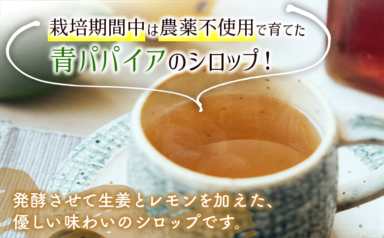 酵素の王様青パパイア酵素シロップ 1000ml サイズ 国産 ヘルシー【B656】