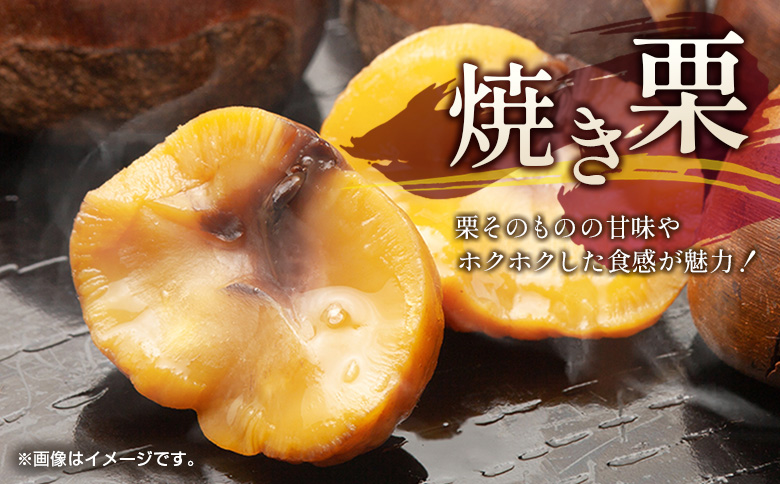 ＜2026年出荷!!＞国産 新鮮朝どれ（生栗）2kg お取り寄せ 産地直送 宝珠栗 数量限定 宮崎県新富町産 先行予約【B669-26】