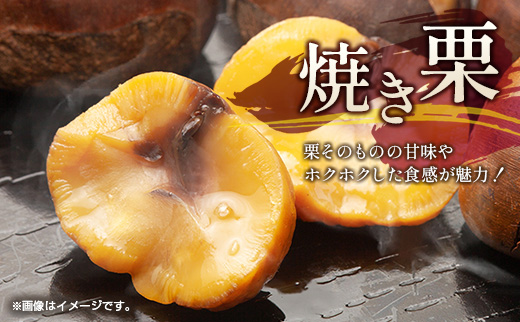＜2026年出荷!!＞国産 新鮮朝どれ（生栗）3kg お取り寄せ 産地直送 宝珠栗 数量限定 宮崎県新富町産 先行予約【B670-26】
