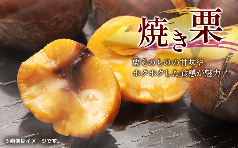 ＜2026年出荷!!＞国産 低温熟成栗（生栗）1kg 熟成宝珠栗 産地直送 宮崎県新富町産 先行予約【B671-26】