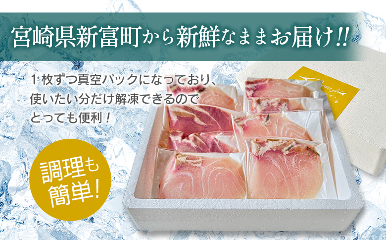 チョウザメの切り身70g×8パックセット 魚介 真空パック カット済み【B687】