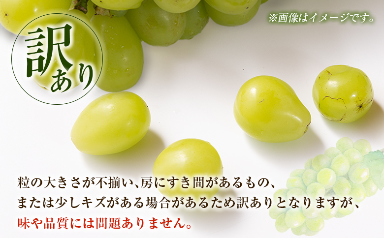 ＜2026年出荷＞先行予約［訳あり］シャインマスカット 約1.3kg 国産 期間限定 くだもの【B688】