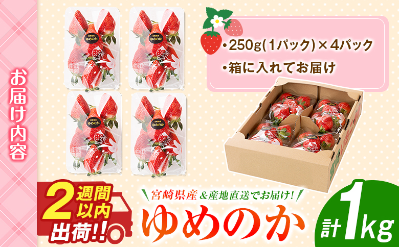 ＜2週間以内出荷!!＞宮崎県産 いちご「ゆめのか」計1kg フルーツ 期間限定 デザート ご褒美【B701】