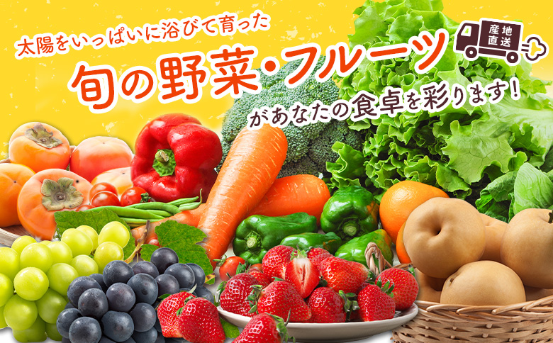 産地直送！旬の野菜・フルーツ＆野菜加工品 セット お試し 1回お届け おまかせ 詰合せ 宮崎県新富町産【C431】