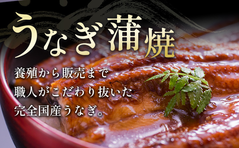 鰻楽 国産うなぎ 2尾 計360g ＆ 宮崎牛 ロースステーキ 250g×2枚 計500g 肉質等級4等級 国産 人気 おすすめ【C129-2510-90】