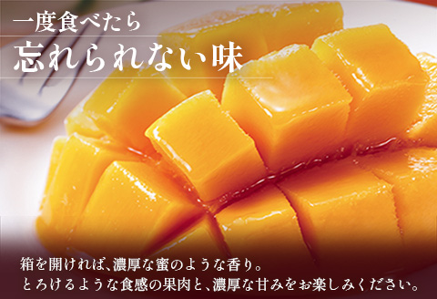 ＜数量限定＞清緑香園 完熟マンゴー 3L×2玉 宮崎県産 果物 フルーツ 先行予約 ※2026年5月下旬～【C233-26】