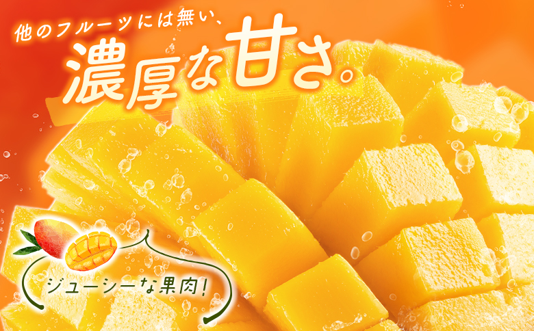＜数量限定＞宮崎県産 完熟マンゴー5L×1玉（650g以上）※2026年4月下旬配送開始 化粧箱入 フルーツ くだもの【C358-26】
