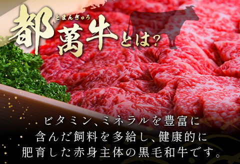 黒毛和牛＜都萬牛＞焼肉 300g×2パック 計600g【C383-2603】