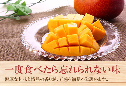 宮崎県産「訳あり」完熟 マンゴー 約2kg（4～8玉）先行予約 南国 フルーツ 果物【C400-26】