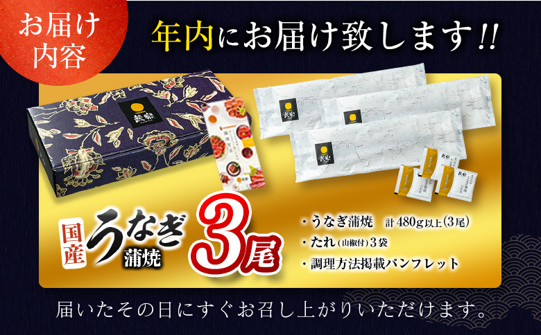 ＜今なら年内お届け!!＞うなぎ 鰻楽 国産 蒲焼 3尾 計480g以上 無頭 高評価 おすすめ 冷凍 簡単調理 個包装 鰻 魚介 贈答品 ギフト 贈り物【C444-2512】 2025年12月お届け