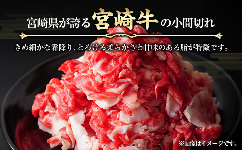 宮崎牛 小間切れ 便利な小分け 200g×5P 計1kg 人気 冷凍 国産【C449】