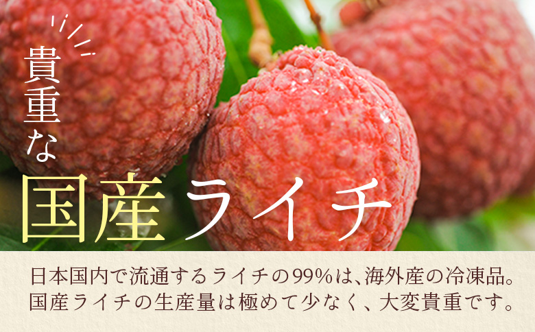 宮崎県産 生ライチ「至高の紅玉」計600g ≪2026年6月下旬～発送≫ 人気 国産 希少 果物 旬 ギフト プレゼント【C453】