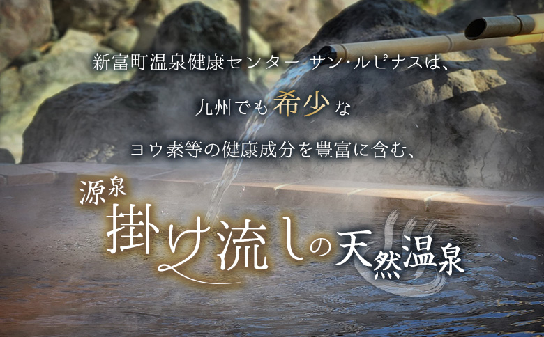 源泉掛け流し 天然温泉［サン・ルピナス］温泉チケット11枚 新富町温泉健康センター 入浴券 無期限 温泉利用券【C454】