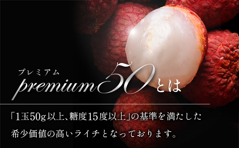 ［2026年発送］先行予約 希少！国産＜新富ライチpremium50＞50g以上×8玉 国産 ブランド フルーツ 果物 贈答品【C52-26】