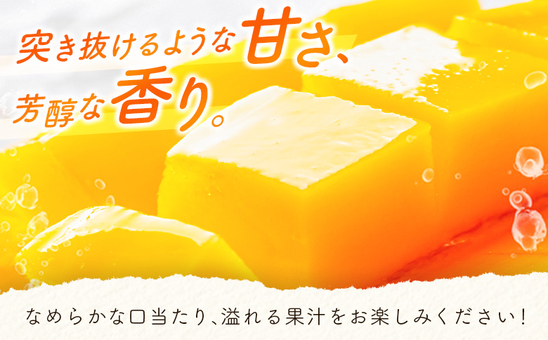 数量限定 宮崎県産 完熟マンゴー＜太陽のタマゴ＞5L×1玉（650g以上）※2026年4月下旬配送開始 化粧箱入 フルーツ くだもの【D114-26】